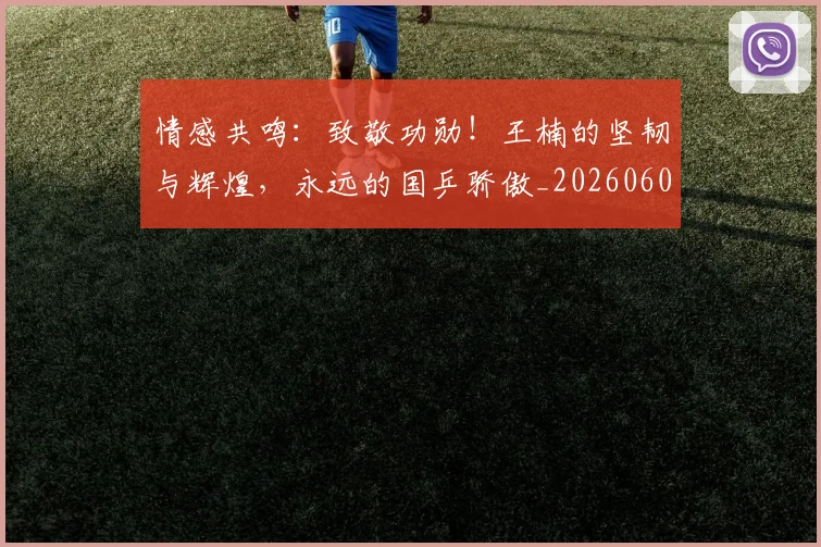 情感共鸣：致敬功勋！王楠的坚韧与辉煌，永远的国乒骄傲_20260605143751