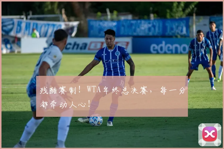 残酷赛制！WTA年终总决赛，每一分都牵动人心！